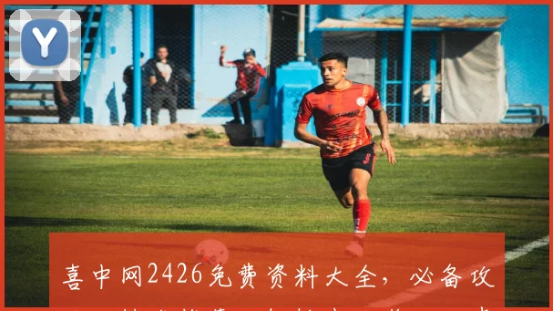 喜中网2426免费资料大全，必备攻略，精准推荐，轻松中大奖，三步轻松解锁