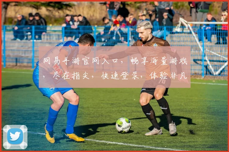 网易手游官网入口，畅享海量游戏，尽在指尖，快速登录，体验非凡