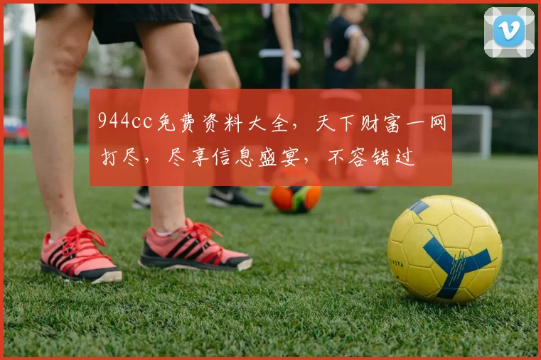 944cc免费资料大全，天下财富一网打尽，尽享信息盛宴，不容错过