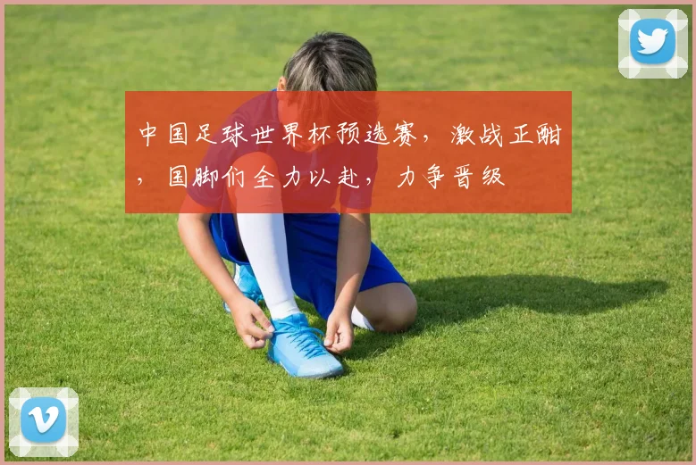 中国足球世界杯预选赛，激战正酣，国脚们全力以赴，力争晋级