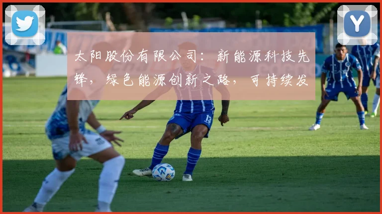 太阳股份有限公司：新能源科技先锋，绿色能源创新之路，可持续发展战略领先者