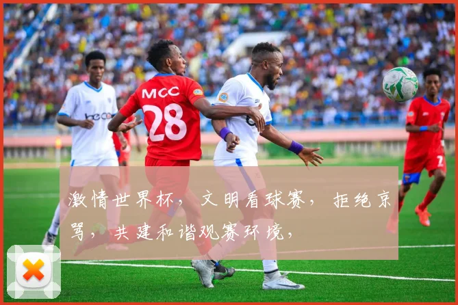 激情世界杯，文明看球赛，拒绝京骂，共建和谐观赛环境，
