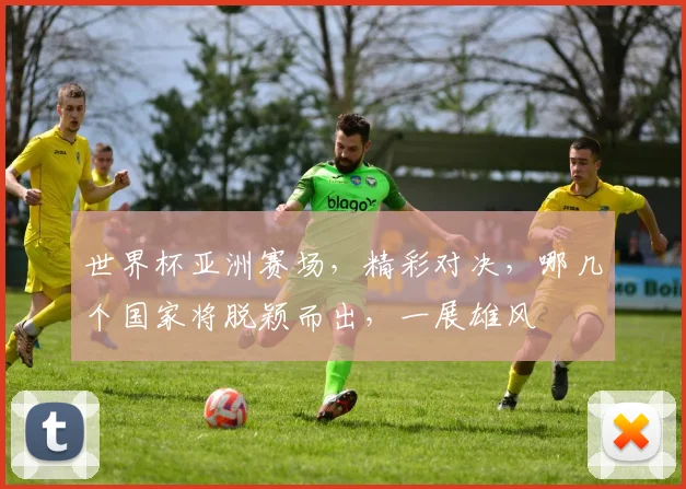 世界杯亚洲赛场，精彩对决，哪几个国家将脱颖而出，一展雄风