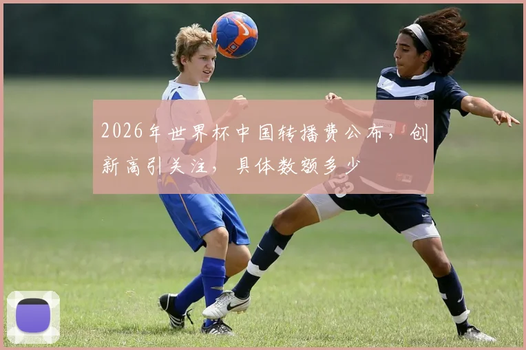 2026年世界杯中国转播费公布，创新高引关注，具体数额多少